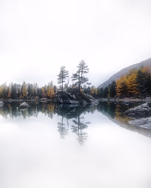 Item #13530196008563854885734701645489239893445931623828964503452581743302820233217 Media