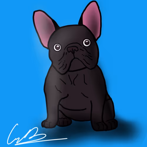Cam D Editions
