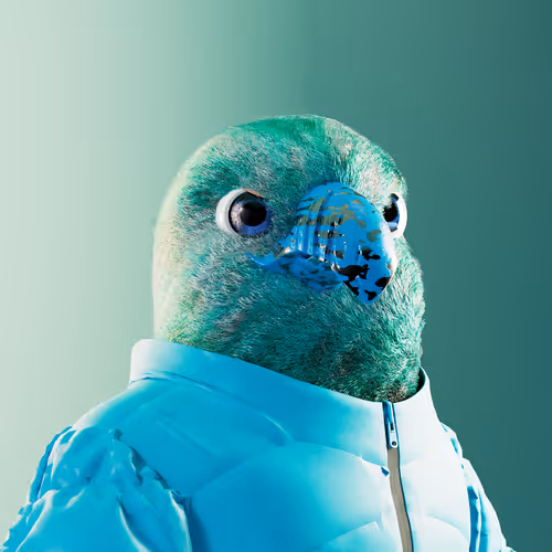 4376362664971565585737253540999175540782146014032197755264946317009463803905