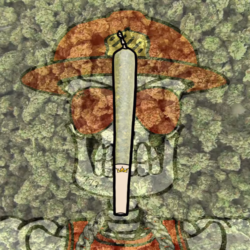 Collins Animals