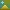 47867797588568683113247899523366481030199419655814401226681347138217209495553