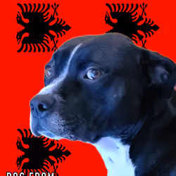 FLAGDOG#30