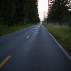 The Lost Road