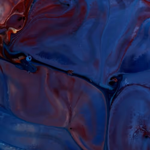 24074810528421772514233601070827590066402087809941770395158209026398468702209