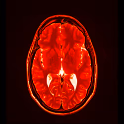 64162533542198579898252916190583583845604629893829087458582976534142343184385