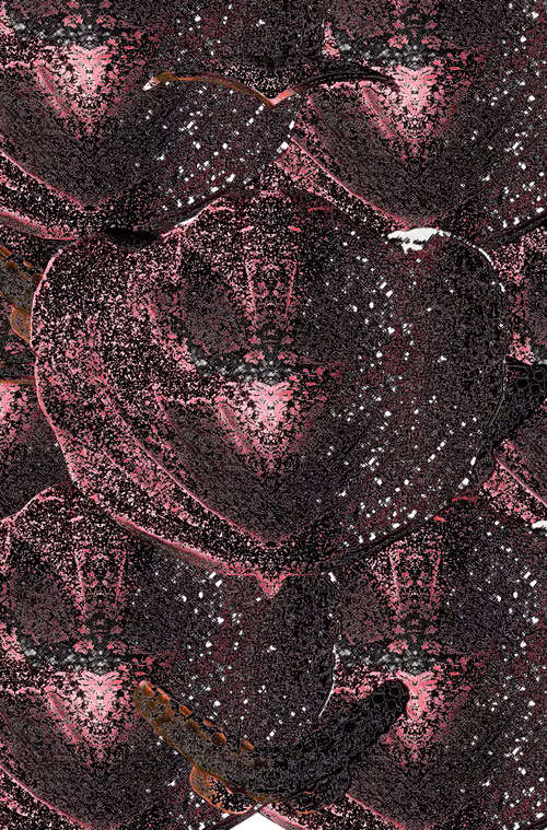 Item #108090653170621964456645493728269851346896231222605963189308647630794915840001 Media