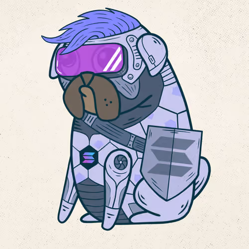 Crypto pug SOL