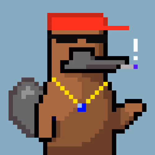 Platypunksofficial