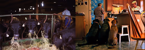 Item #95798395344160826478230491499252628572040143534185362822691349303821200261121 Media