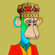 APEverse16 Collection
