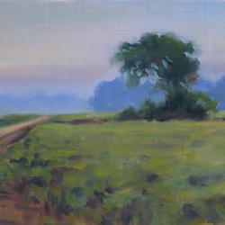 Misty Morning Over Indian Field 