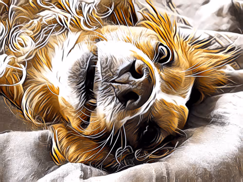 Elemental dog