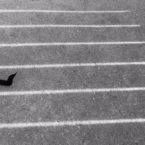 Item #56431751608181922231259635946092067407977788553703326303680802273367339040769 Media