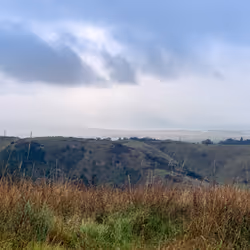 100151078309057675366159992497543003968848618159963270405575559517362093817857