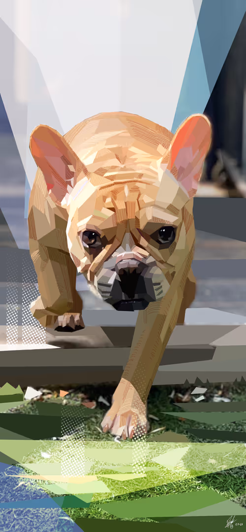 Item #56669498029202450346916797523249832166720531002368278834248555981427970146305 Media