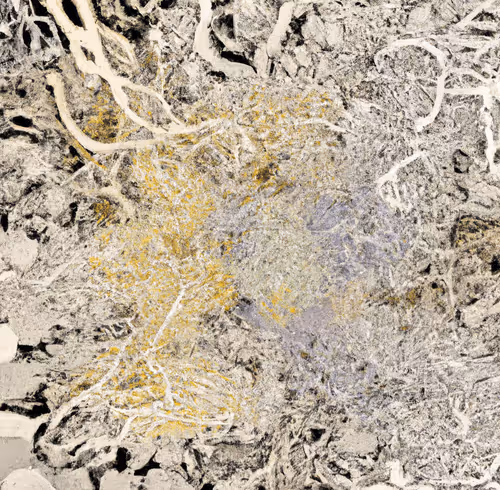 Item #33293457058661275056775848170303775746271351105386188312509916044448497664001 Media