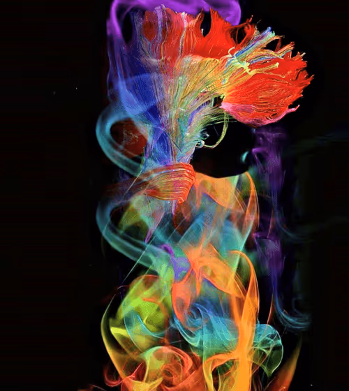 Item #44820903106987093458998790611995561527004783591399631822843358601636189569025 Media