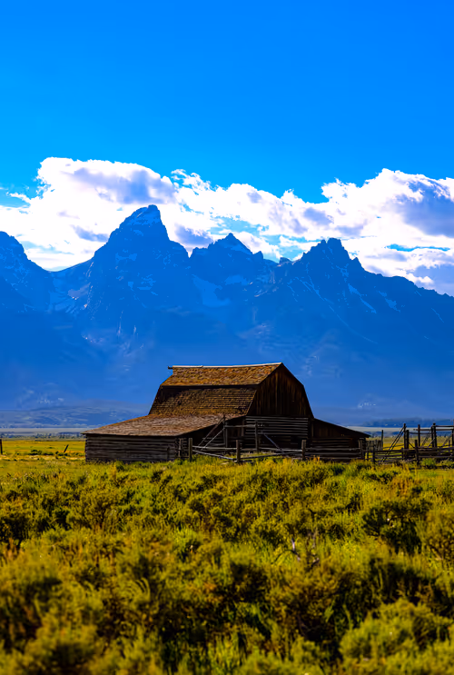 Item #15297189145007819332952477315735476032529554073284948694775240686036945207297 Media