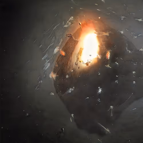 Item #47455838316383884591430178167620017013206946401491634246892428933010307416065 Media