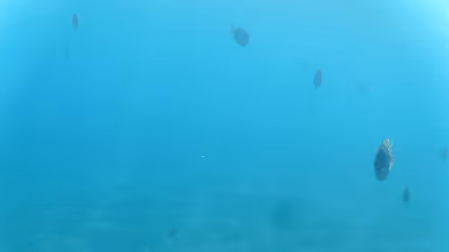 Item #32522392328516293709208538786472574869311995244495637720412795748705403666437 Media