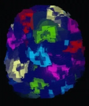 trizzytrunk Collection - old