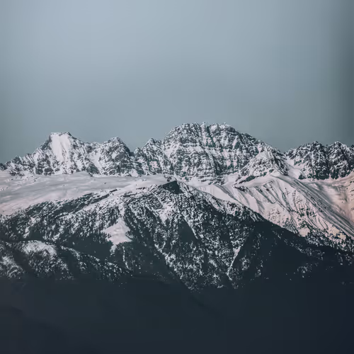 iammirauqib Collection