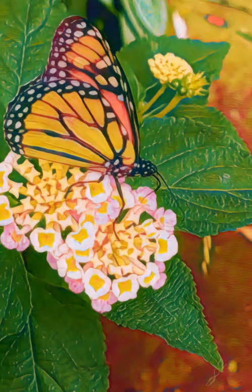 Item #16618738114346914127219060499717801535161246505766705550572350513925459017729 Media