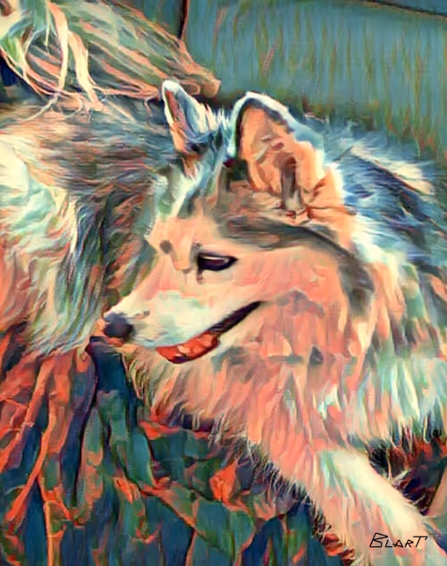 Item #100912189096696144949180120692345760590440403347893883972252148252665750487041 Media