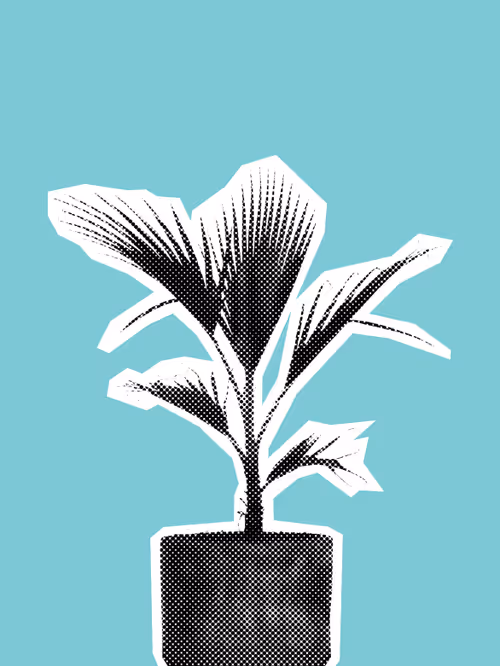 Item #25379124807980713745219244606437574046087384809022650852355167131312121184257 Media