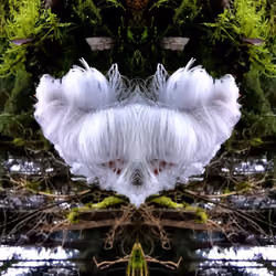 SOMEWHERE IN SPACETIME #32/33