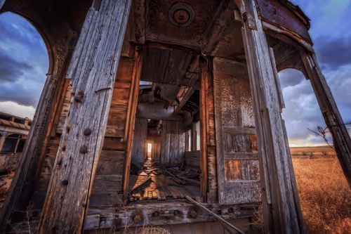 Dedicated Series Collection