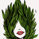 Evergreen 2016 Sabet