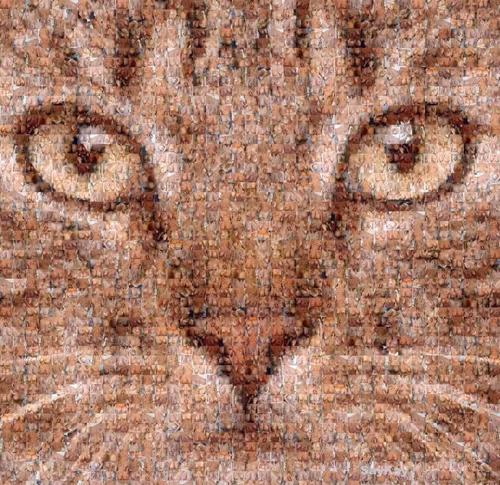 Item #14656084230488493368775221354555823422761205298408677100043001976693849063425 Media