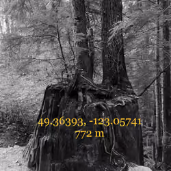 #69482350181684556450881472715375192786660208176488519700794474769629547855873