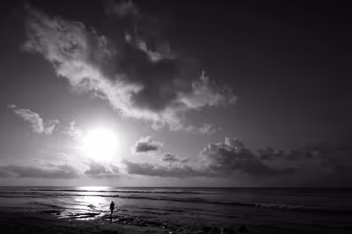 Item #97299197670576688169135242576959850036431919373710156993917717273102210039809 Media