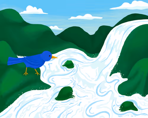 Item #28804504009901400054196768822759251152575271871032350447698418822279908556801 Media