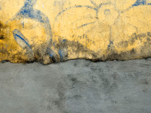 Item #77837778009088564188174628045169397065653229955612462896383264972524589416449 Media