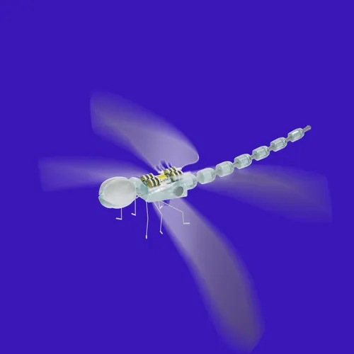 Item #59221695809999844932868241311026825972511777315967343673418626839827967901697 Media