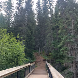 "Bridge to No Where"