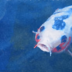 From the bottom of the water