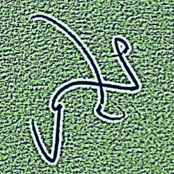MESSAGE 115 Prosperity