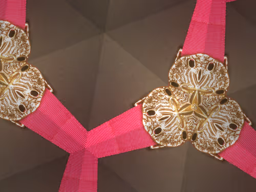 Item #69376820955182207634374405090115864776049539168882178084902512082327445700609 Media