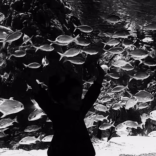 Untitled Collection #57651489