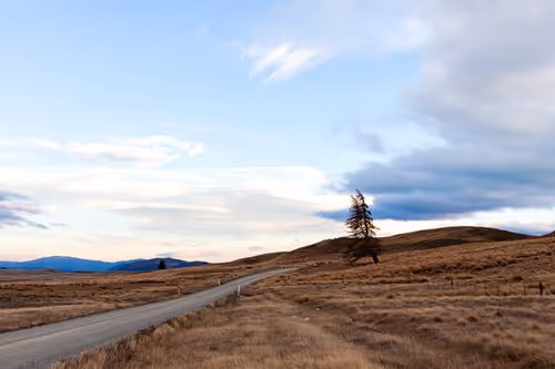 Item #71612854290007489912386196550495868093855881668285752477056652118780280832001 Media