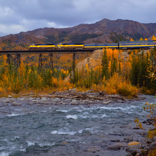 RogerBath Collection - old V2