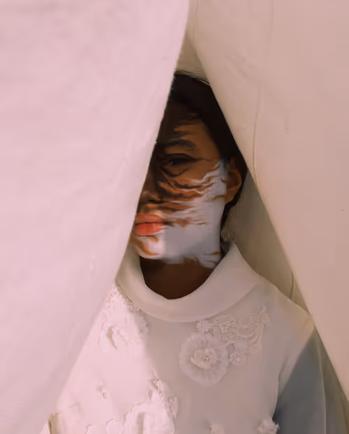 Item #63324450979353932572546796381388974853561747879606244592105116295358324932609 Media