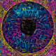 Illusion of eyes in microworld