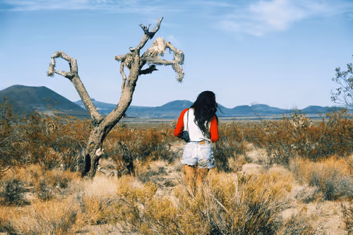 Item #1477567608042929161133967300904577015789959353209458872969039485495742038017 Media