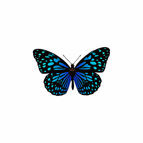 Untitled Collection #83688804