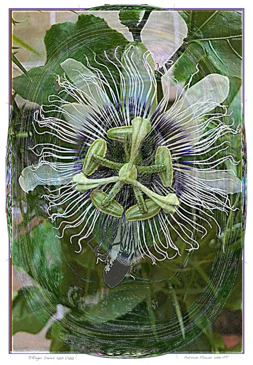 Item #6968899724388266606176016145545160509277227480062482001621938852490920329217 Media